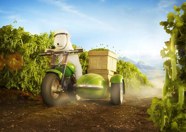Photograph Chris Frazer Smith Pea Harvest on One Eyeland